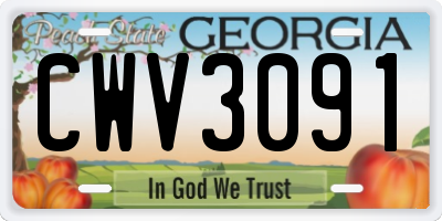 GA license plate CWV3091