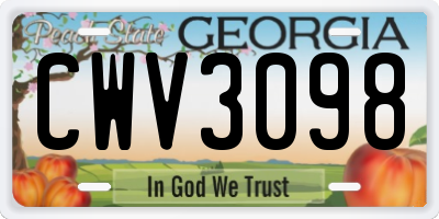 GA license plate CWV3098
