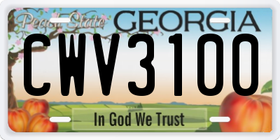 GA license plate CWV3100