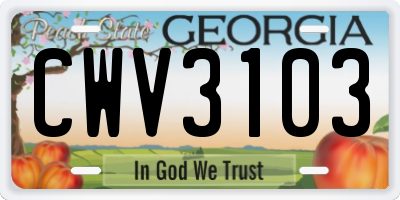 GA license plate CWV3103
