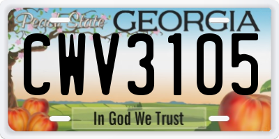 GA license plate CWV3105