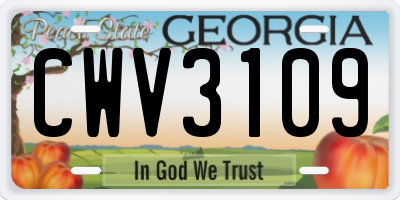 GA license plate CWV3109