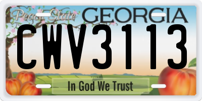 GA license plate CWV3113
