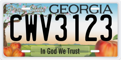 GA license plate CWV3123