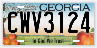 GA license plate CWV3124