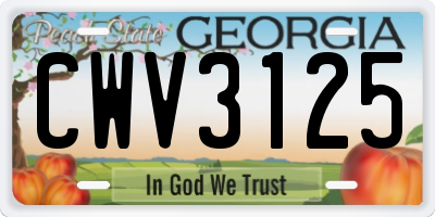 GA license plate CWV3125