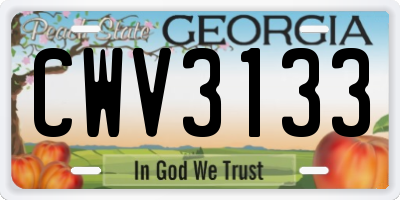 GA license plate CWV3133