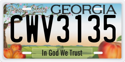 GA license plate CWV3135