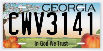 GA license plate CWV3141