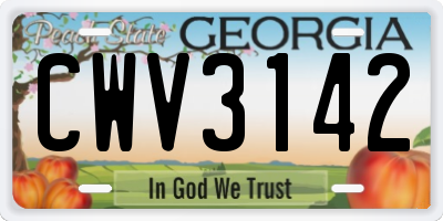 GA license plate CWV3142