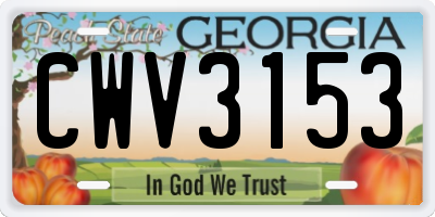 GA license plate CWV3153