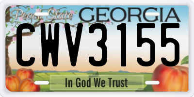 GA license plate CWV3155