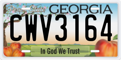 GA license plate CWV3164