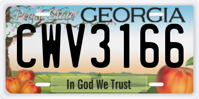 GA license plate CWV3166