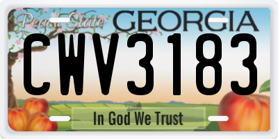 GA license plate CWV3183