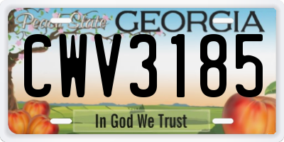 GA license plate CWV3185