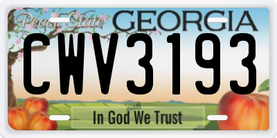 GA license plate CWV3193