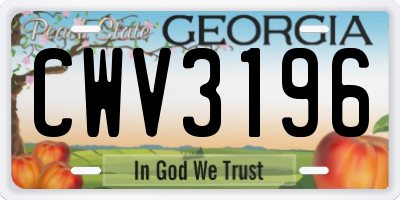 GA license plate CWV3196