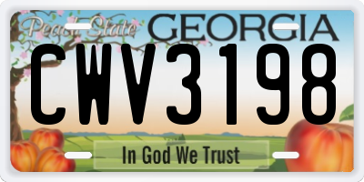 GA license plate CWV3198