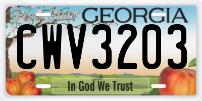 GA license plate CWV3203