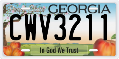 GA license plate CWV3211