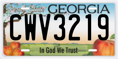 GA license plate CWV3219