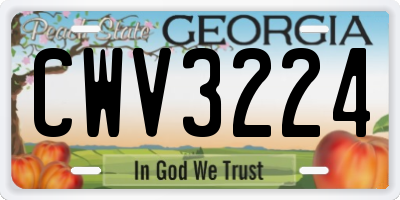 GA license plate CWV3224