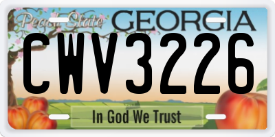 GA license plate CWV3226