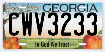 GA license plate CWV3233
