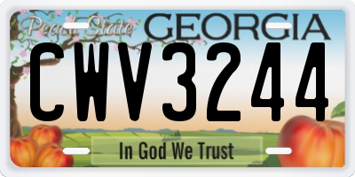 GA license plate CWV3244