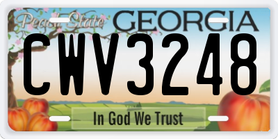 GA license plate CWV3248