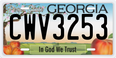 GA license plate CWV3253