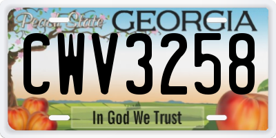GA license plate CWV3258