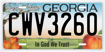 GA license plate CWV3260