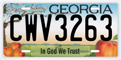 GA license plate CWV3263