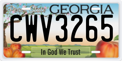 GA license plate CWV3265