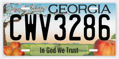 GA license plate CWV3286