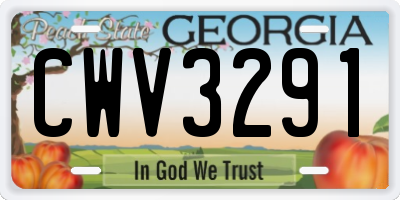 GA license plate CWV3291