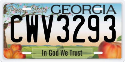 GA license plate CWV3293