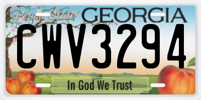 GA license plate CWV3294