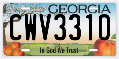 GA license plate CWV3310
