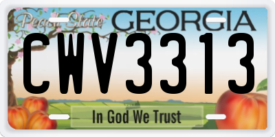 GA license plate CWV3313