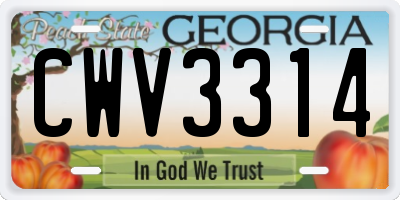 GA license plate CWV3314