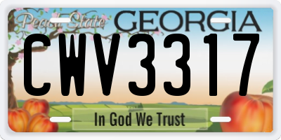 GA license plate CWV3317