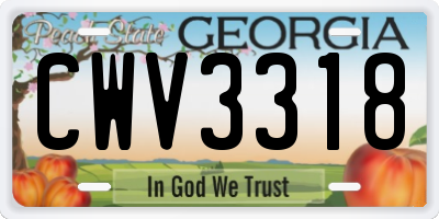 GA license plate CWV3318