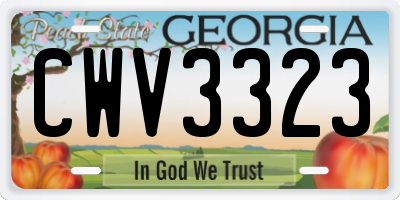 GA license plate CWV3323