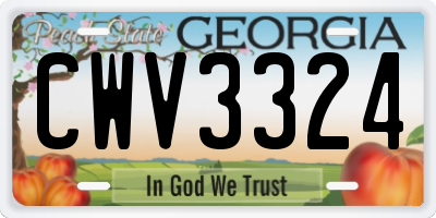 GA license plate CWV3324