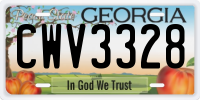 GA license plate CWV3328