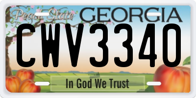 GA license plate CWV3340