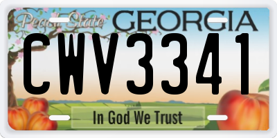 GA license plate CWV3341